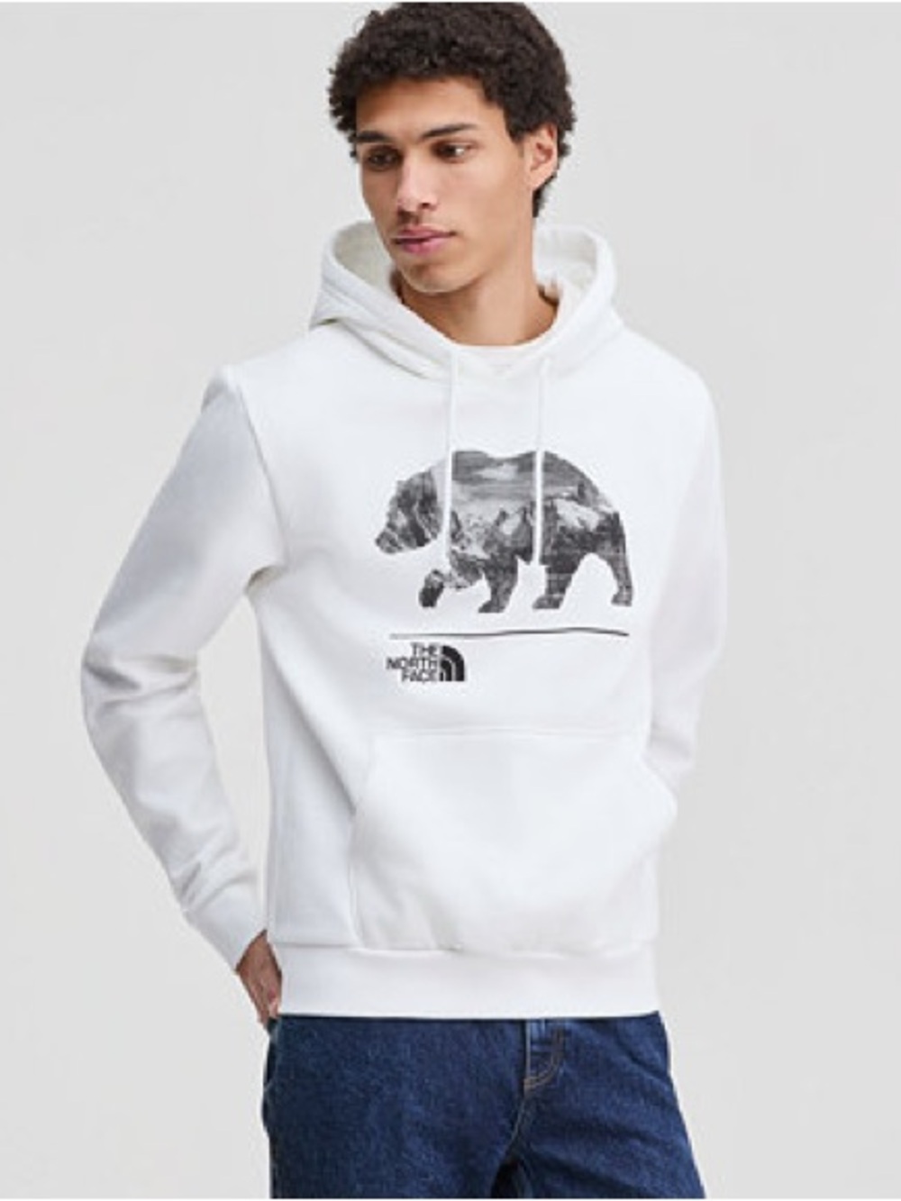The North Face Men's Evolution Mountain Bear Hoodie